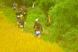 BIB: 
                            <button type="button" onclick="openModal(13455928)" class="btn btn-primary btn-sm float-right btn-popup" data-toggle="modal" data-target=".modal-high-quality">
                        <i class="fas fa-shopping-cart"></i> Add to Cart
                    </button>
                                            <button type="button" onclick="isThisMe(13455928, true)" class="btn btn-success btn-sm float-right btn-popup btn-isme hidden" data-toggle="tooltip" data-placement="bottom" title="นี่คือรูปของคุณใช่ไหม คลิกที่นี่เพื่อเอาเข้าอัลบั้ม">
                        <i class="fas fa-plus"></i> Add to album
                    </button>
                    <button type="button" onclick="isThisMe(13455928, false)" class="btn btn-warning btn-sm float-right btn-popup btn-isnotme hidden">
                        <i class="fas fa-ban"></i> Remove from album
                    </button>